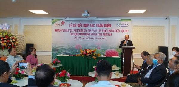 VNPS và MHG hợp tác nghiên cứu bảo tồn, phát triển các sản phẩm Sâm Ngọc Linh
